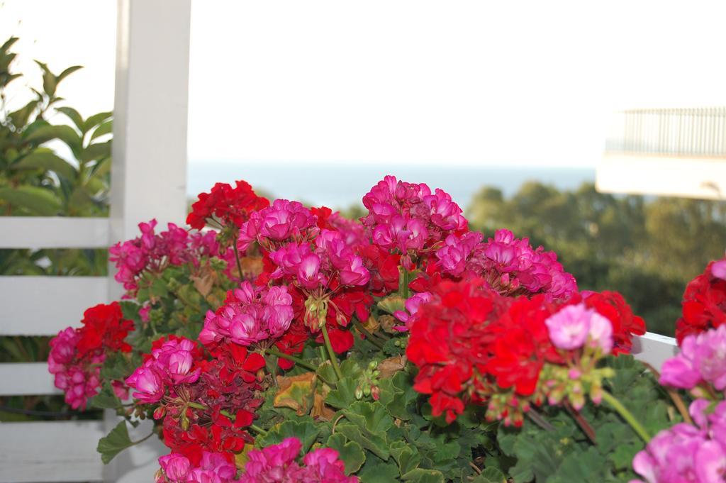 B&B H224 Reggio Calabria Exterior photo