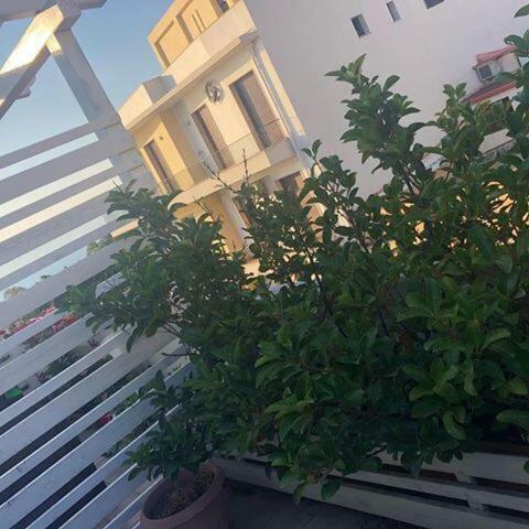 B&B H224 Reggio Calabria Exterior photo